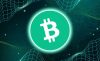 Bitcoin Cash: Быстрая и Дешевая Альтернатива Биткоину