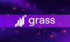 Проект Grass — что это такое и как он работает
